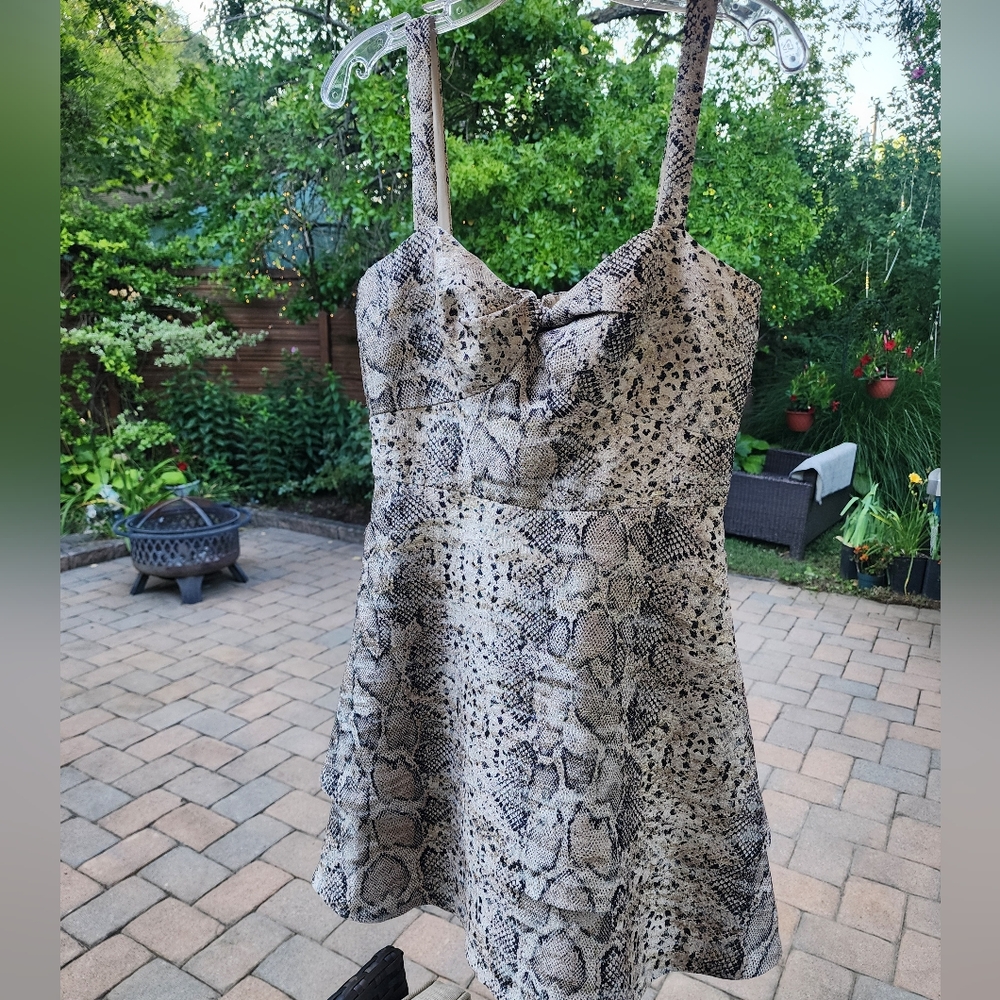 Hutch Size.6Keeley Fit & Flare Dress Silver Black Gold Snake Skin.like New. - Picture 4 of 7